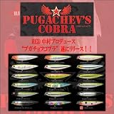ima(アイマ)/PUGACHEV’S COBRA(プガチョフコブラ)