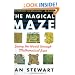 The Magical Maze: Seeing the World Through Mathematical Eyes