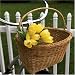 Classic Wicker Bike Basket