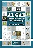 CO2 biofixation by microalgae : modeling, estimation and control