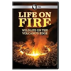 Life on Fire: Wildlife on the Volcanos Edge