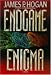 Endgame Enigma