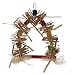Nature's Instinct Fire Cracker Swing for Pet Birds