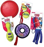 KONG Summer Fun Pack Dog Combo, Dog Toys, Large (Colors Vary)