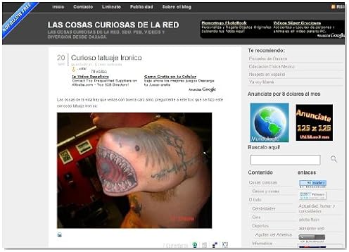 Las cosas curiosas de la red (Spanish Edition)