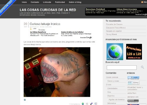Las cosas curiosas de la red (Spanish Edition)