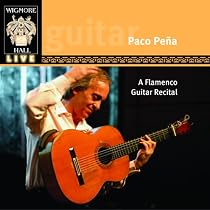 A Flamenco Guitar Recital