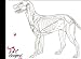 The Canine Acupressure Workbook A Learning Tool for Enthusiasts and Professionals
