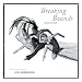 2008 Wall Calendar: Breaking Bonds