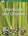 Bamboos & Grasses (SIMPLE STEPS TO SUCCESS)