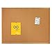 Quartet Cork Board, Bulletin Board, 2' x 1.5' Corkboard, Oak Finish Frame (301)
