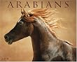 Arabians 2008 Calendar