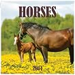2014 Horses Wall Calendar