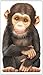 Little Chimp (Mini Look at Me Books)