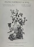 1956 Ad Frank Partridge Sons Louis XV Ormolu Candelabra - Original Print Ad