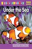 Under the sea