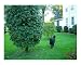Buddy Home & Hearth Photographic Poster Print by JM Jackson, 10x8