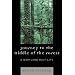 Journey to the Middle of the Forest: A Maryland Half-Life
