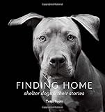 Finding Home: Shelter Dogs and Their Stories