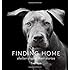 Finding Home: Shelter Dogs and Their Stories
