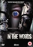 In the Woods [1999] [DVD] [2007]