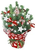 Live Tabletop Christmas Tree with Christmas Decorations & Lights