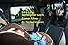 Rayee Extra-Large Baby Car Mirror, Baby Backseat Mirror, Car Mirror For Baby, 360 Degree View, Crash Tested, Anti-Slip Straps, Adjustable Shatterproof,