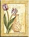 Pat Cockrell STRETCHED CANVAS Art 16x20 "Fringed Tulip" Pat Cockrell STRETCHED CANVAS Art 16x20 "Fringed Tulip"