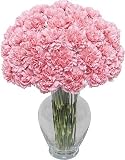 Deluxe Pink Carnation 30 stems with Hourglass Vase