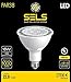 SELS Par38 Led Bulb, Dimmable, 16 Watt, 1050 Lumens, E26 Standard Base, 75 Watt Incandescent Bulb Equivalent, UL, 2700K Soft White - Suitable for Damp Locations