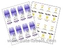 Raffle Tickets Printing Software & 50 Sheets Ticket Stock (Makes 400 Tickets)