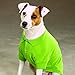 Zack & Zoey Cotton Polo Shirt for Dogs, 16
