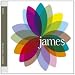 Fresh As a Daisy: The Singles (Bonus CD)