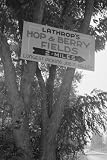Art Poster, Hop And Berry Fields - 12x18