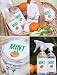 OpuluxeLtd. Italian Orange and Mint: Eco Cleansing Set