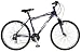 Schwinn Ridge AL Men's Mountain Bike (26-Inch Wheels)
