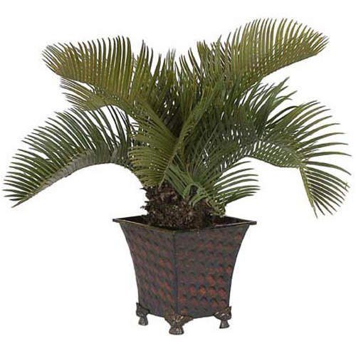 Cycas Palm Silk Plant – 20″H
