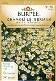 Burpee 66019 Herb Chamomile, German Seed Packet