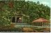 1940s Vintage Postcard Magnetic Springs - Eureka Springs Arkansas