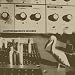 Merzbow-Another Merzbow Records