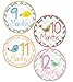 Baby Girl Bird Monthly Onesie Sticker with Chevron Pattern - Waterproof and Durable - Includes 1-12 Month Stickers
