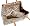 Anne Klein New York New York Women's Plaza Tote,Tan/Cream,one size