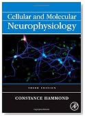 Cellular and Molecular Neurophysiology, Third Edition