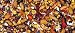 Premier Parrot 20 Pound Bag