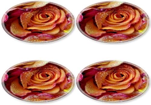 Rose Petals Stains Bouquet Drops Round Coaster (4 Piece) Set Fabric Rubber 5 Inch Size Liil Coaster Cup Mug Can Water Bottle Drink Coasters Stain Resistance Collector Kit Kitchen Table Top Desk
