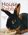 Living With a House Rabbit