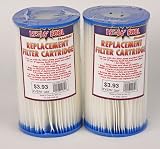 2 each: Type A Pool Filter Pump Replacement Cartridge for Intex (Model 59900E)