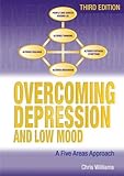 Overcoming depression and low mood : a five areas approach