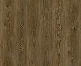 G-LOC FLOORING PLUS　ジーロックフローリング　ウッドシリーズ　シナモンオーク　NWD-101