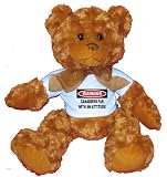 Warning: Canadiens Fan with an attitude Plush Teddy Bear with BLUE T-Shirt